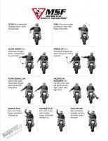 MSF HAND SIGNALS NEWSLETTER