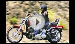 Harley Davidson softail custom Model Look in all angles