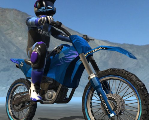 Dirt bike rider Game