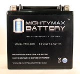 Mighty Max Battery