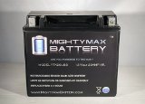 Mighty Max Battery