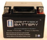 Mighty Max Battery