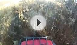 Honda atv 300 part 2