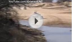 INSANELY FUNNY quad bike and atv fail complition!