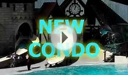 NEW CONDO 13: KENNY ROGERS AND THE JET SKIS