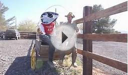 Off road scooters fun time only Bixby Moto gy6 mot