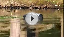 waverunner mk3 -carponizer - bait boat - test & in action